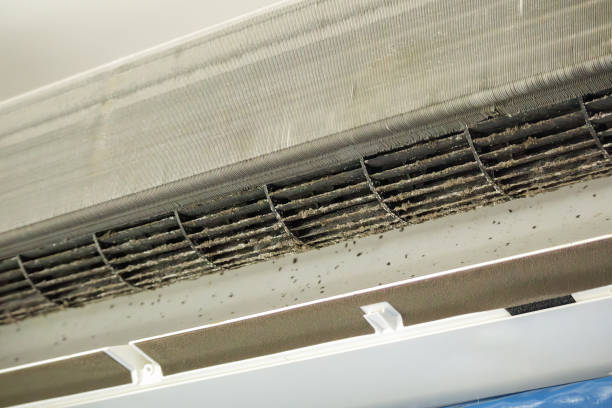 Best Best Air Duct Cleaning Company  in Granger, IA